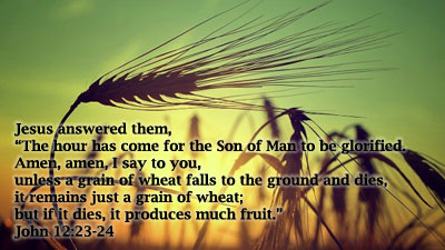 %th Sunday of Lent